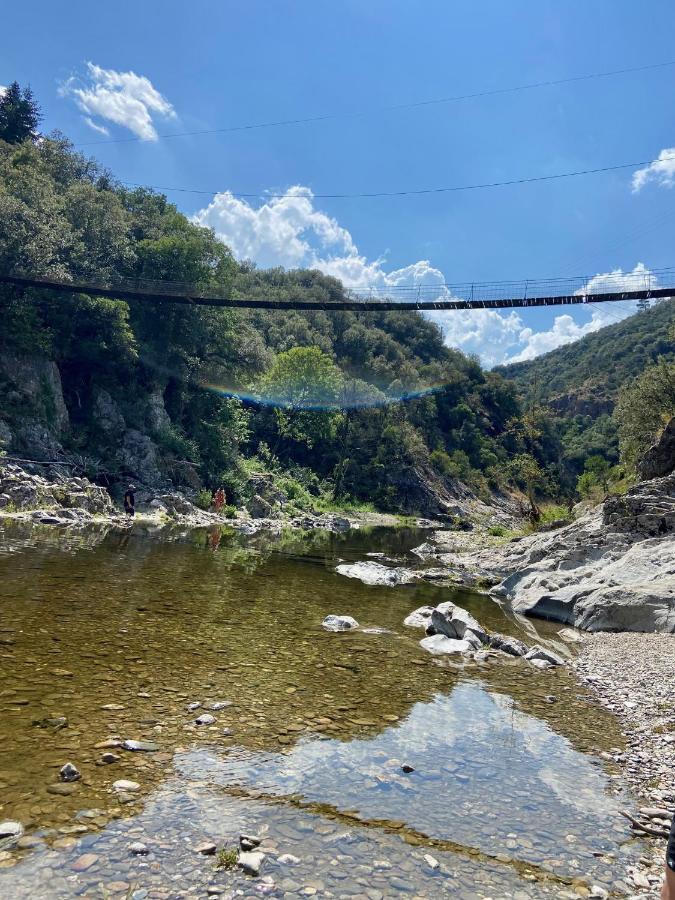 La Frigoule, Un Gite Au Coeur Du Parc Des Cevennes Generargues Exterior photo